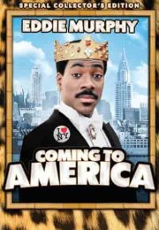 Amerikan Rüyası izle (1988)