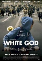 Beyaz Tanrı izle (2014)